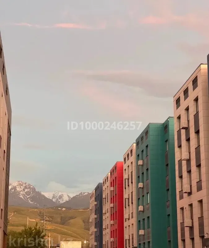 Studija šalia paplūdimio naujai suremontuotas – 4 nuotrauka iš 4
