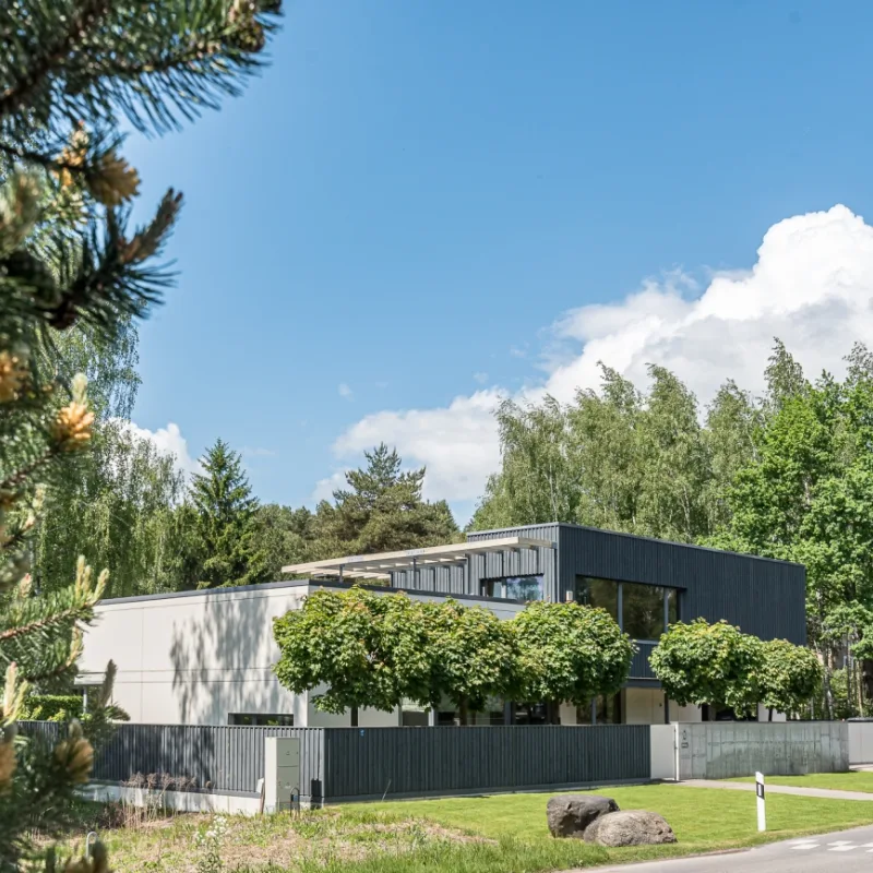 Vila gamtoje jaukus – 3 nuotrauka iš 9