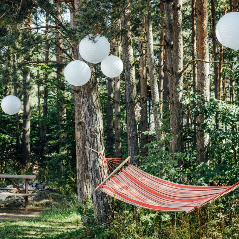 Glamping palapinė — Palanga – 5 nuotrauka iš 5