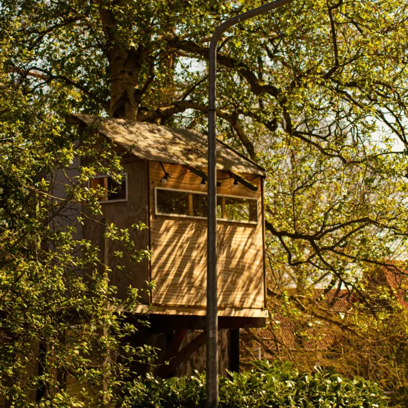 Namelis su vaizdu į mišką — Antežeriai – 5 nuotrauka iš 8