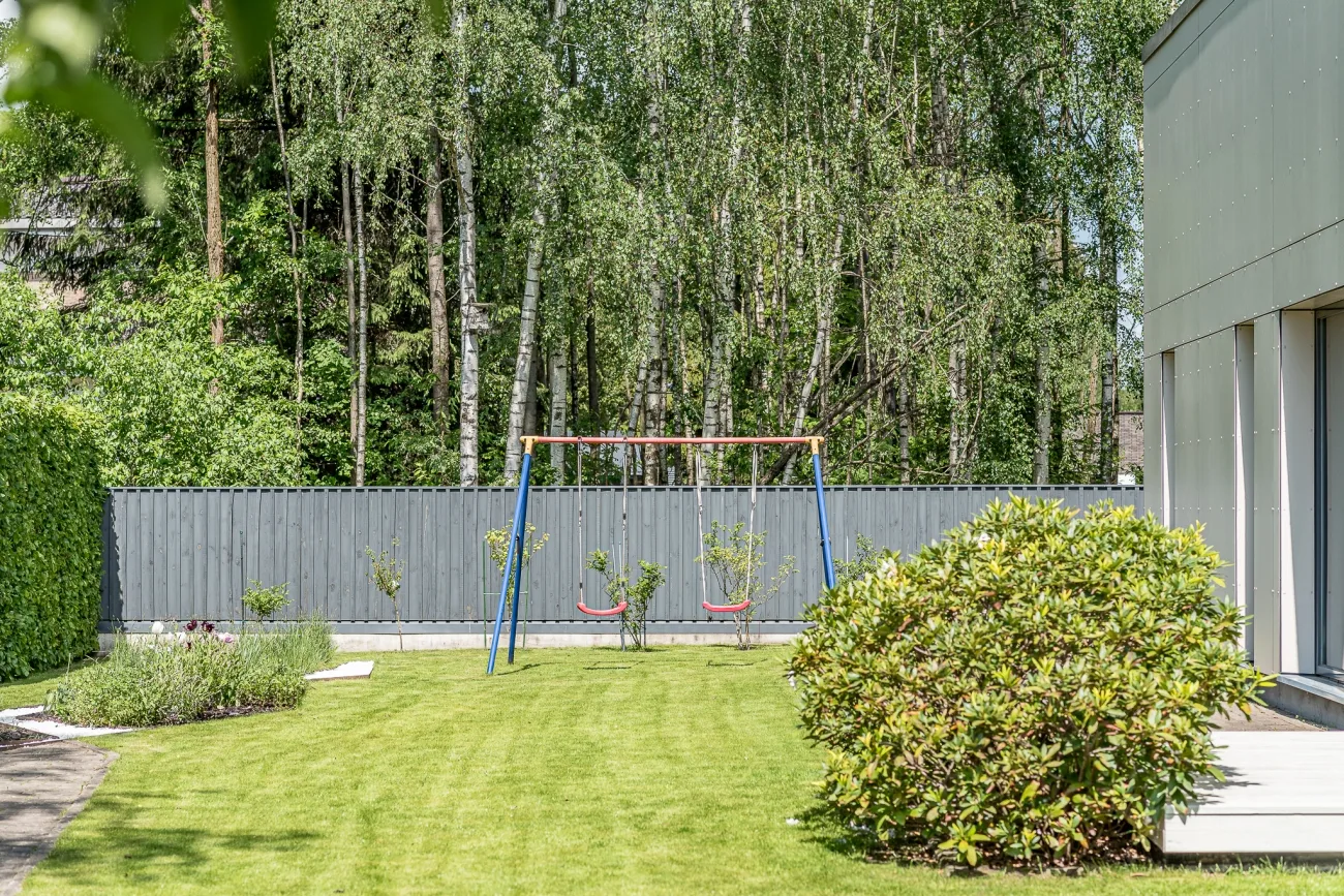 Vila miške su sodu – 1 nuotrauka iš 10