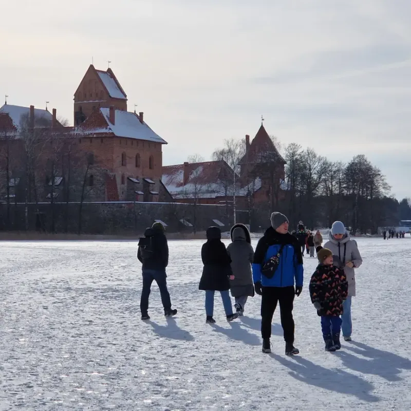 Butas parke su sodu – 5 nuotrauka iš 7