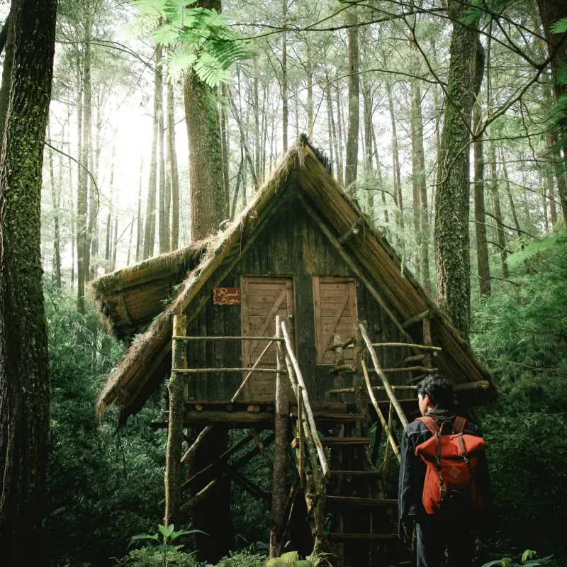 Namelis medžių lajose — Karčiupis – 4 nuotrauka iš 6