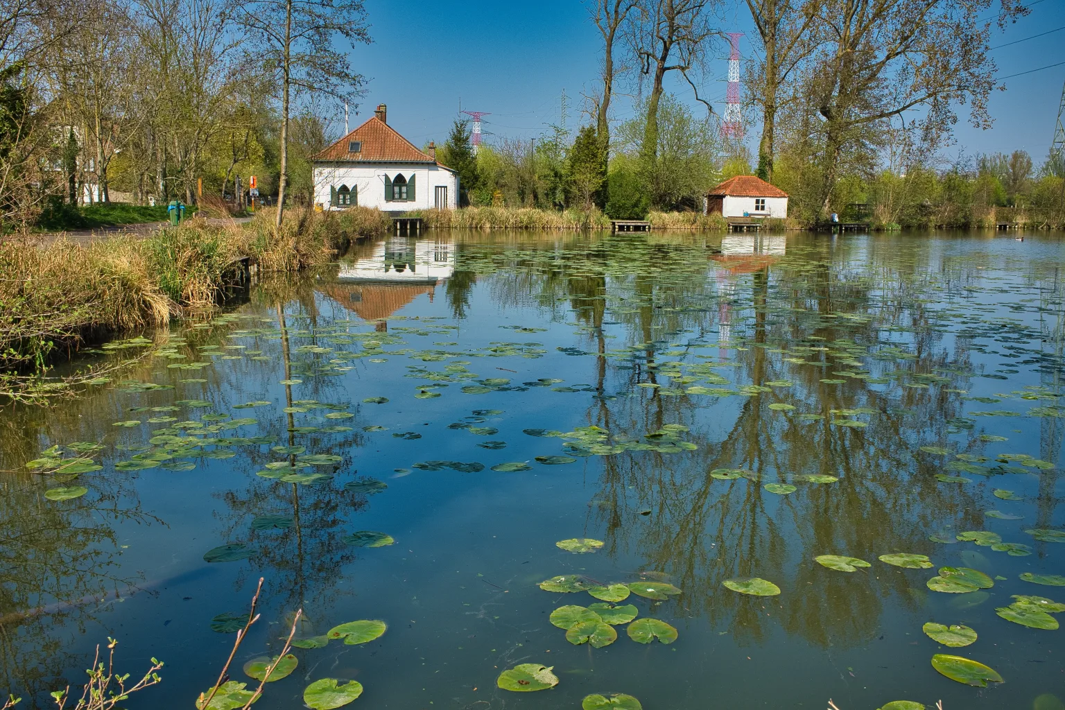 Modernus 39 m² kambarys — Neringa – 1 nuotrauka iš 11